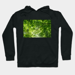 Green Tree Canopy Hoodie